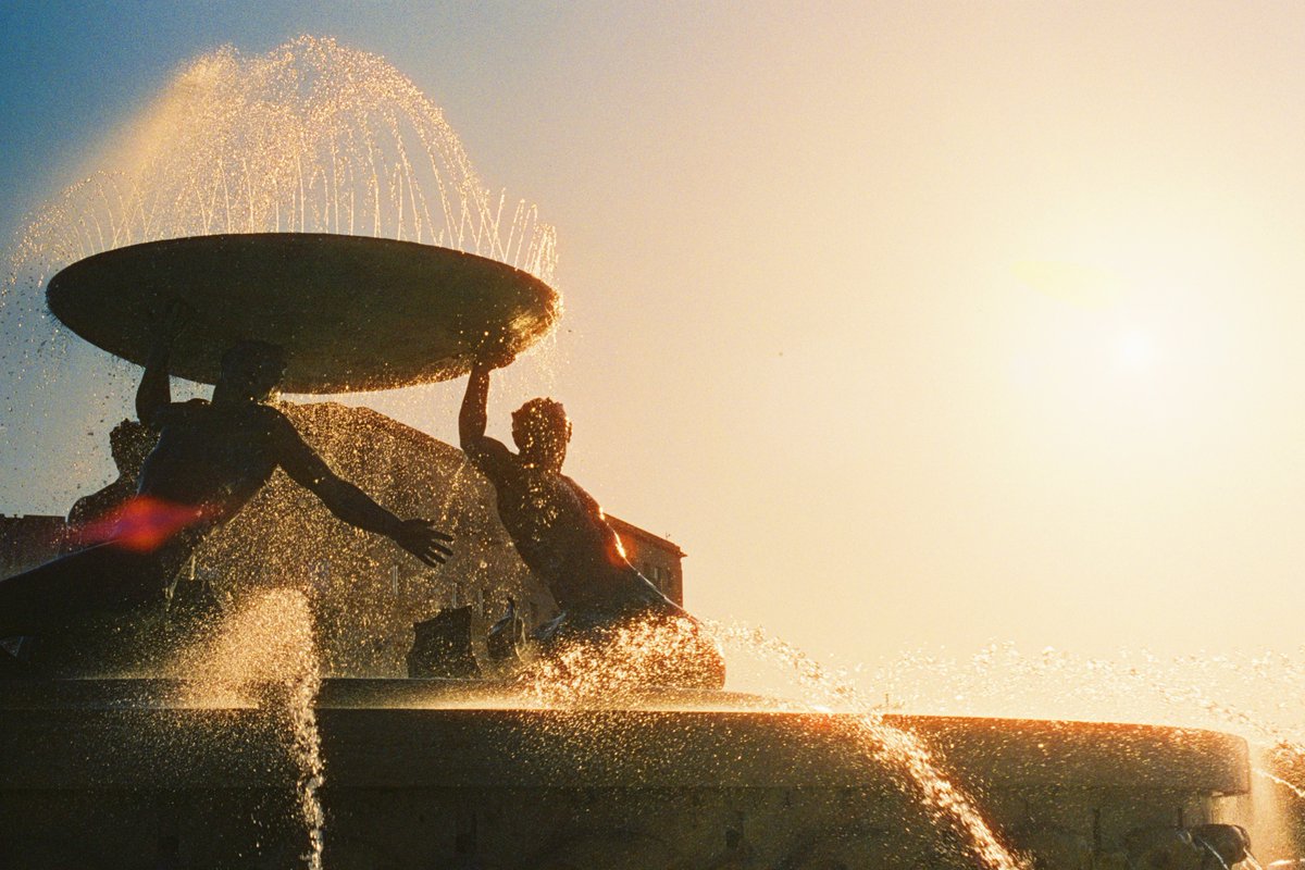 Rhys Robert Harper tweet media