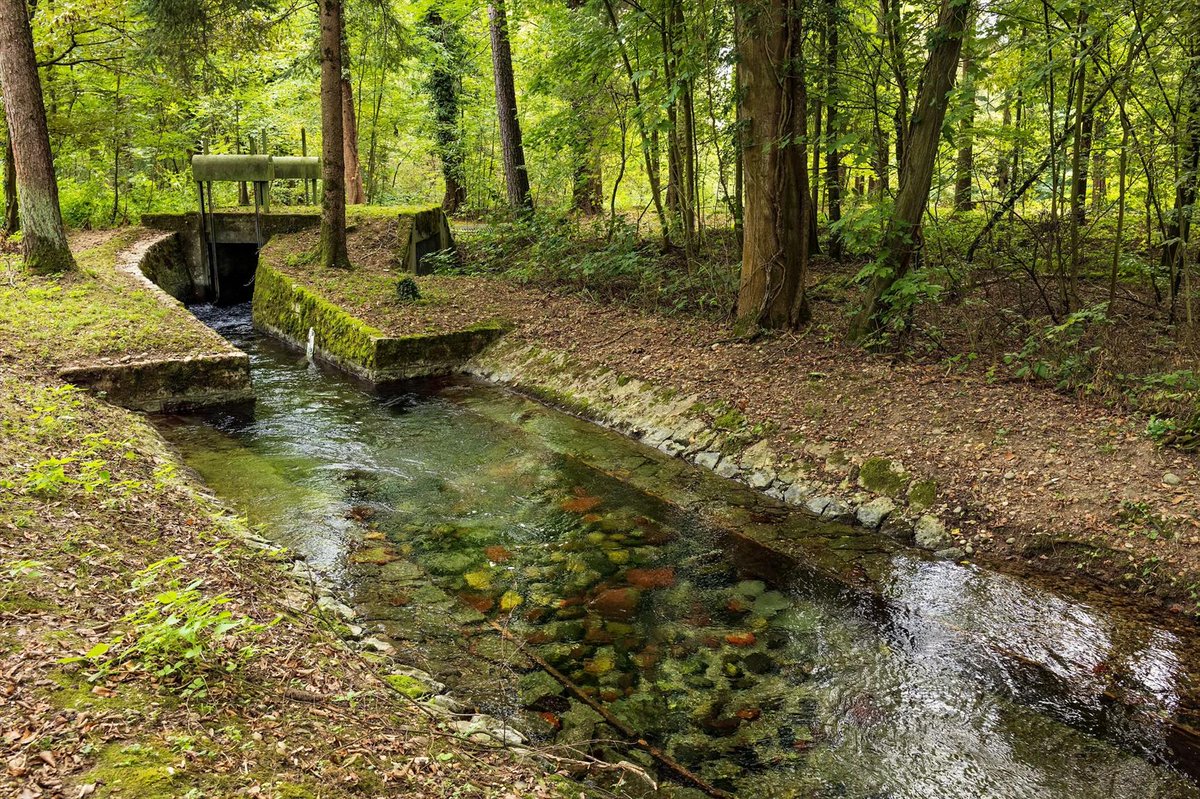 Blue News (@bluecommunityzh) on Twitter photo Der Trinkwasserverbrauch in Basel-Stadt hat sich halbiert
134 Liter Trinkwasser werden im Einzugsbereich der IWB pro Kopf und Tag genutzt. 30 Prozent davon sind für die WC-Spülung
bzbasel.ch/basel/basel-st… Der Trinkwasserverbrauch in Basel-Stadt hat sich halbiert
134 Liter Trinkwasser werden im Einzugsbereich der IWB pro Kopf und Tag genutzt. 30 Prozent davon sind für die WC-Spülung
bzbasel.ch/basel/basel-st…