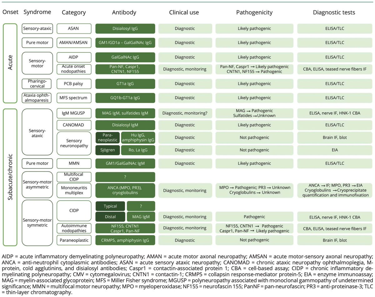 YeisciminE's tweet image. 🚩Anticuerpos en neuropatías autoinmunes: síndromes clínicos asociados y categorías diagnósticas, uso clínico, patogenicidad y pruebas diagnósticas.

Neurology. 2025 Feb 11;104(3):e210298.
#Neurología #MedicinaInterna