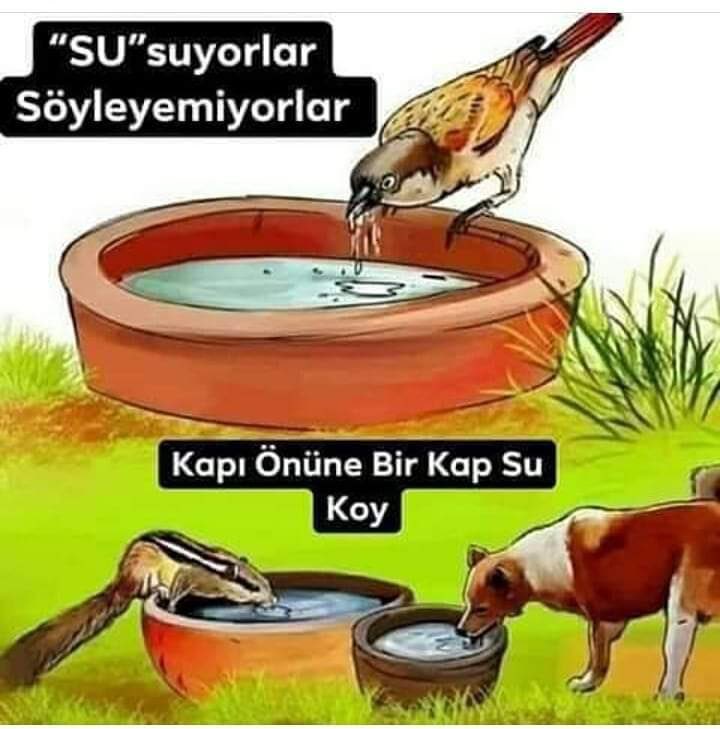 Kavurucu sıcaklar yurdun her yerini kapladı.
Tüm canlılar için uygun yerlere, uygun kaplarda hijyen kurallarına dikkat ederek #BirKapSu bırakınız.