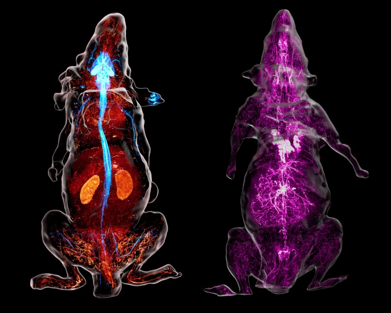 Waggoner Lab tweet media