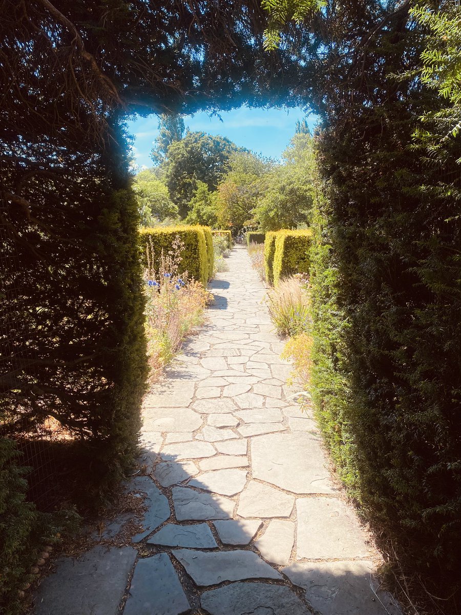 haiku366's tweet image. maybe i will end 
walked myself to distraction
surrendering here