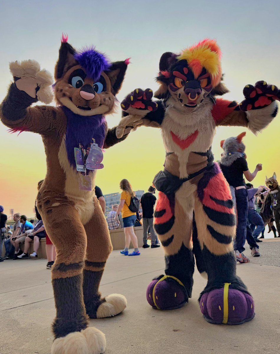 Scarburne's tweet image. ⚠️ WARNING: CATS IN YOUR AREA ⚠️
🐱: @SmellyStrobes
🧵: @sheenitude
📸: @fawxbite