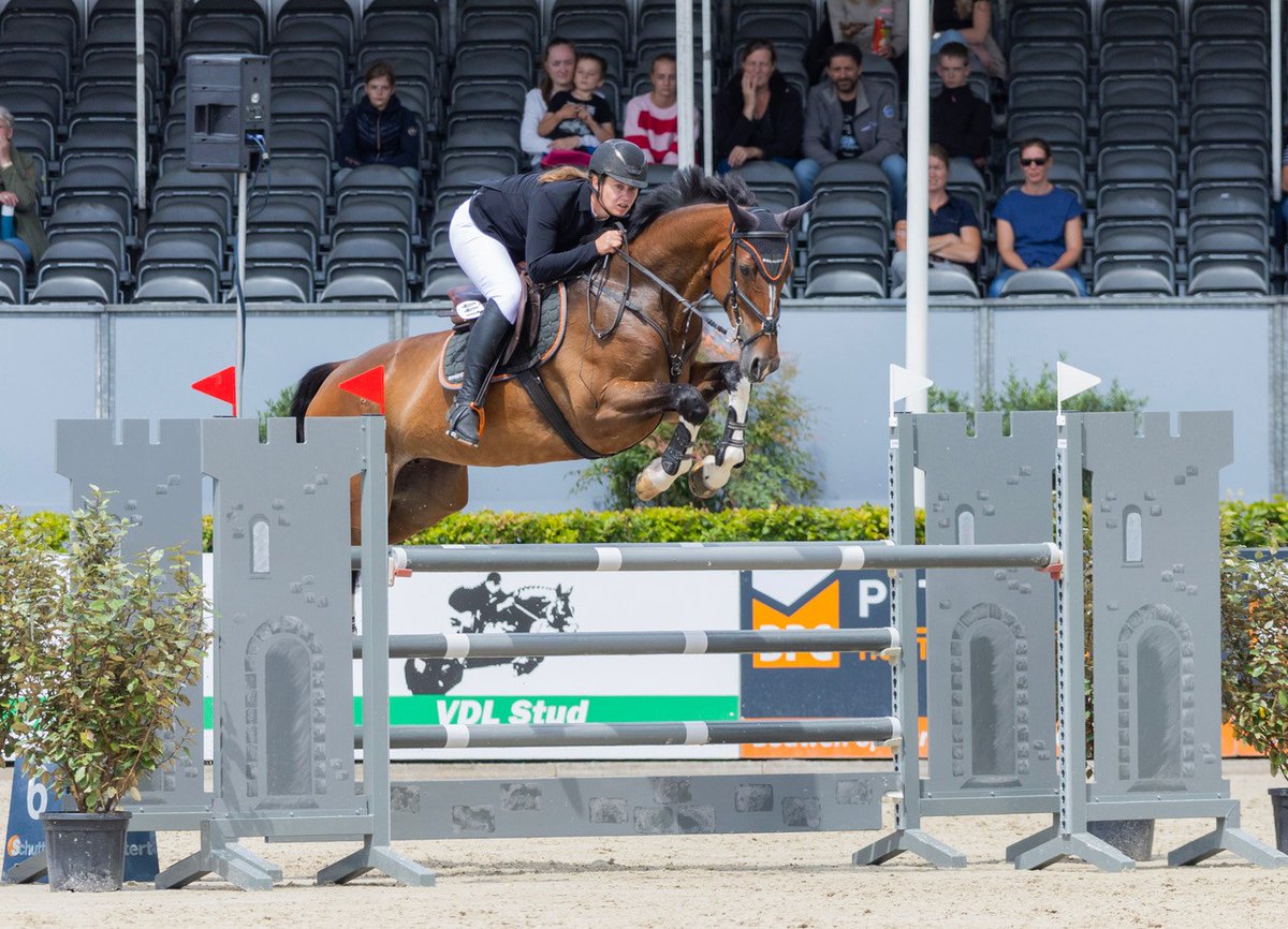 VechtdalTV's tweet image. Anne-Lotte Tijhuis: ‘CSI Ommen past in opleiding van paard’
-----&amp;gt; ap.lc/axOYl
#CSIOmmen #Ommen #paard