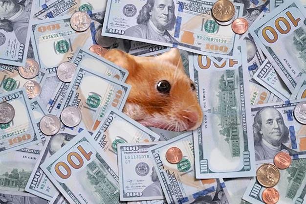 <a href="/MustStopMurad/">Murad 💹🧲</a> This time is different! $nomnom