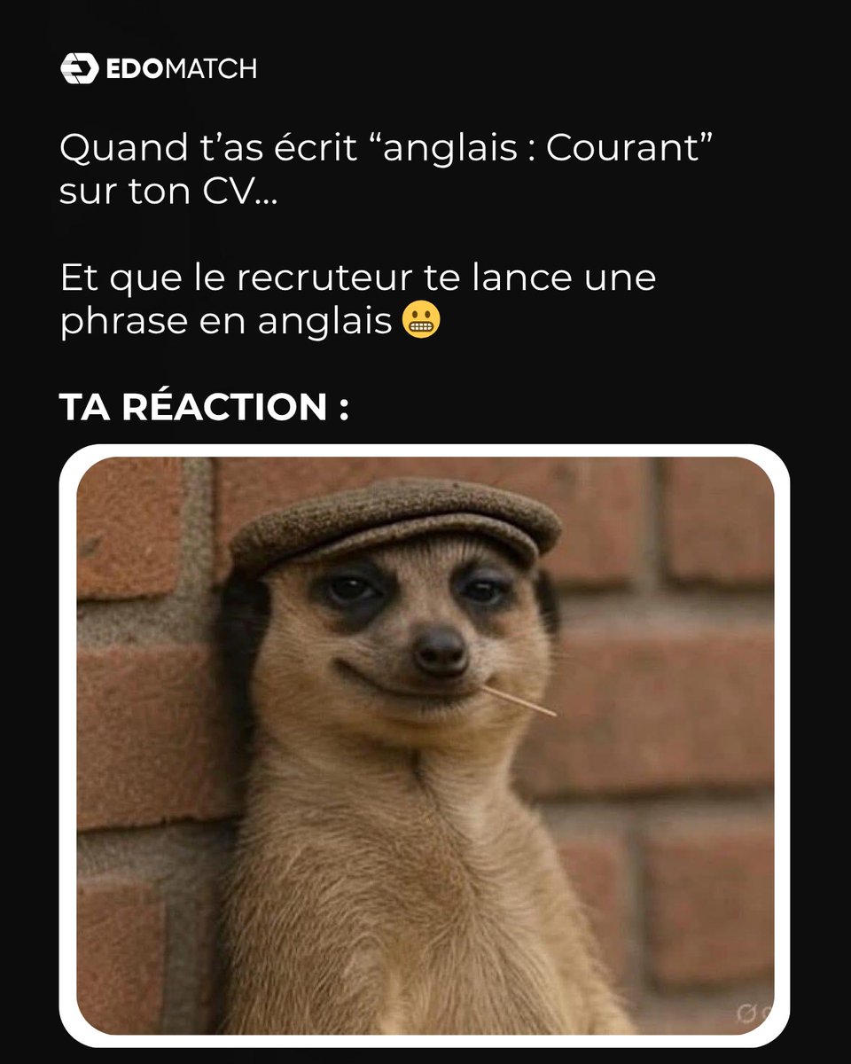 Edo_match's tweet image. On connaît tous ce moment…
Tu écris “anglais : courant” sur ton CV…
Et là, le recruteur te teste direct 
👉 On révise ensemble pour éviter ça ?
#EdoMatch #CVFails #HumourEmploi #JobAfrique #TogoJobs #EnglishLevel