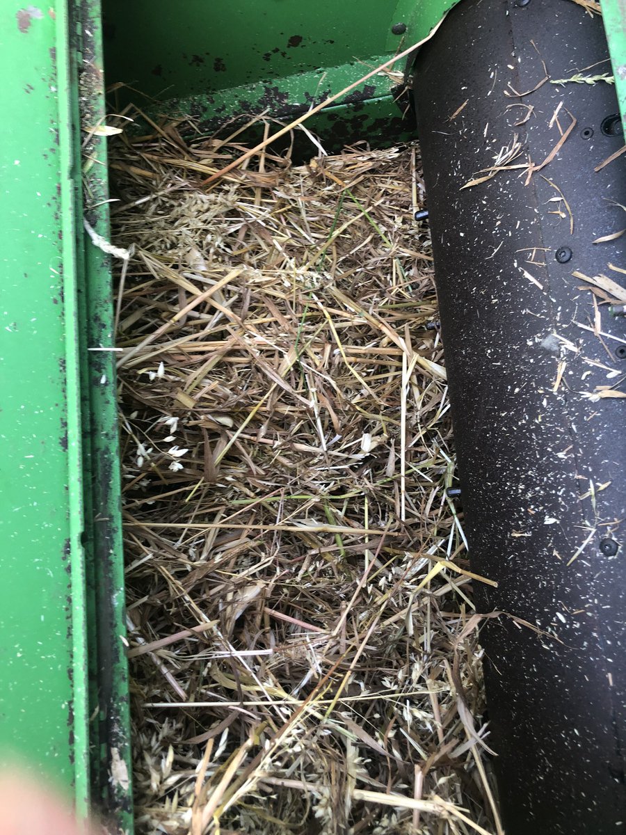 Samuel Deane tweet media