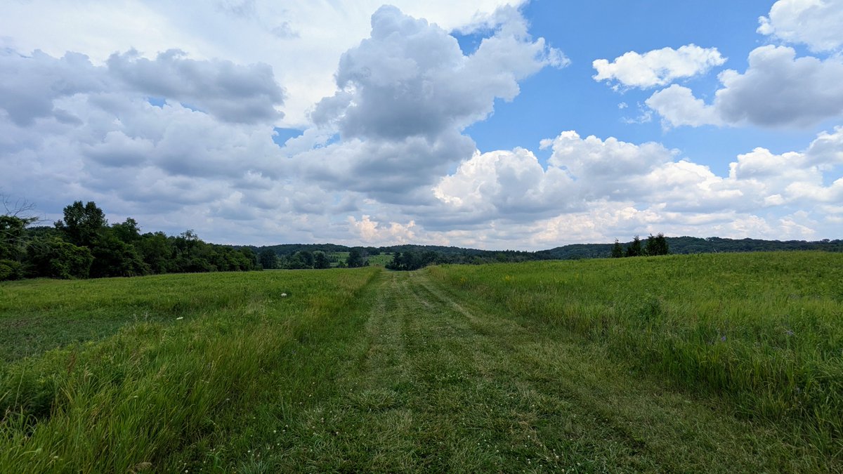 A great day for field work, <a href="/ksr_jokershill/">Koffler Scientific Reserve at Jokers Hill</a>