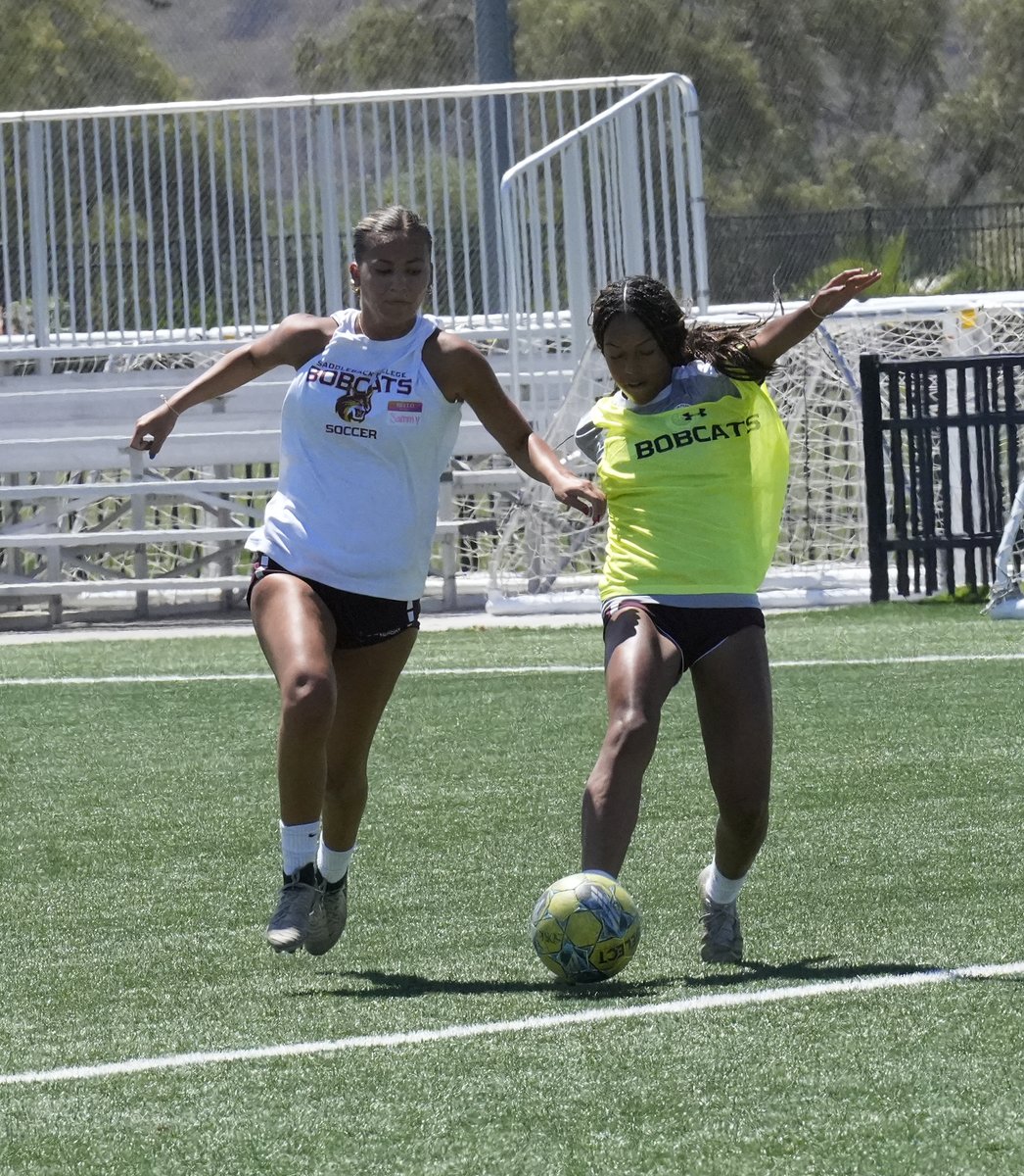 GoSCBobcats's tweet image. Bobcats soccer out sharpening its claws during the summer for the 2025 campaign.
@SportsOEC @3C2Asports @SaddlebackColl