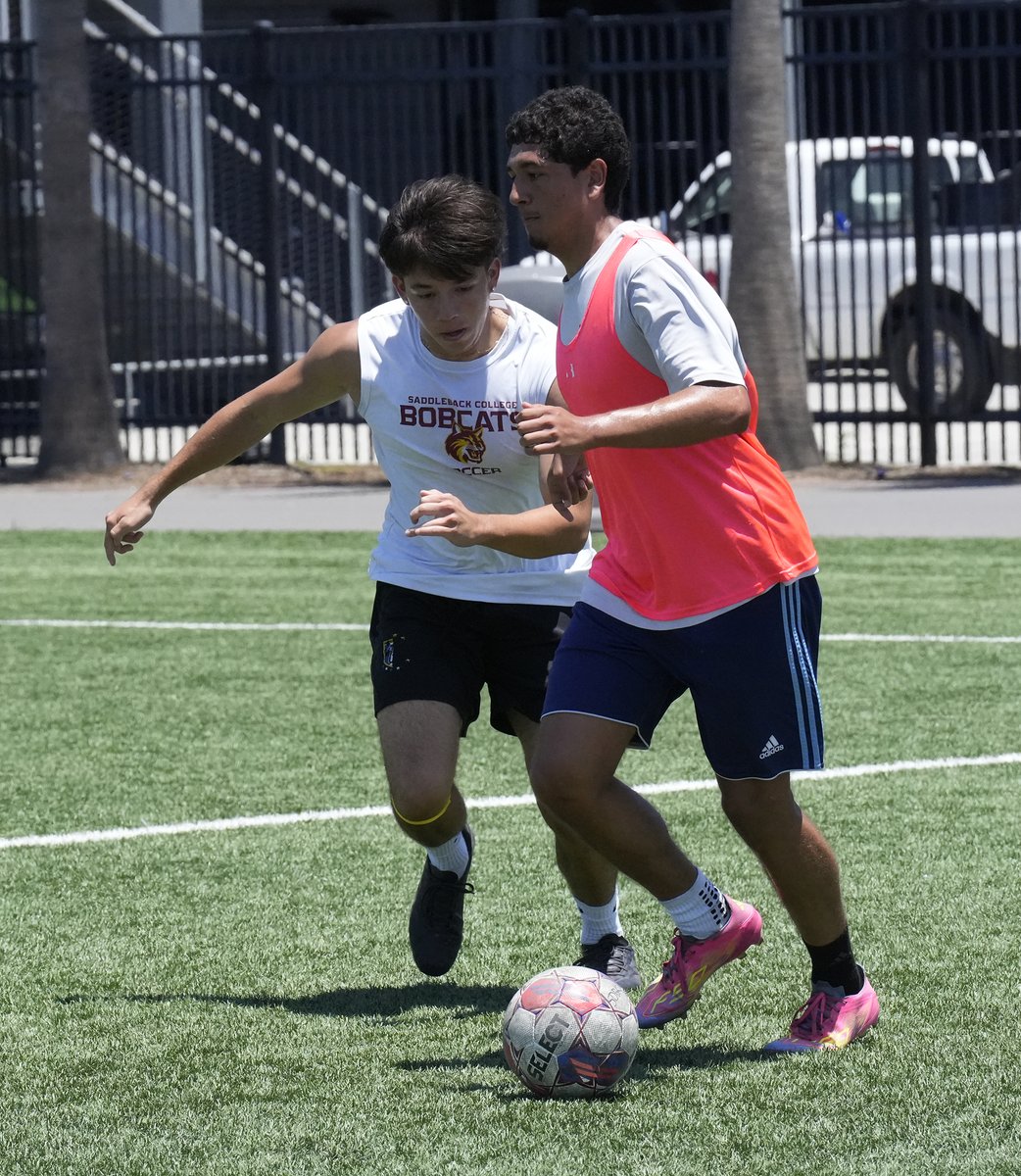 GoSCBobcats's tweet image. Bobcats soccer out sharpening its claws during the summer for the 2025 campaign.
@SportsOEC @3C2Asports @SaddlebackColl