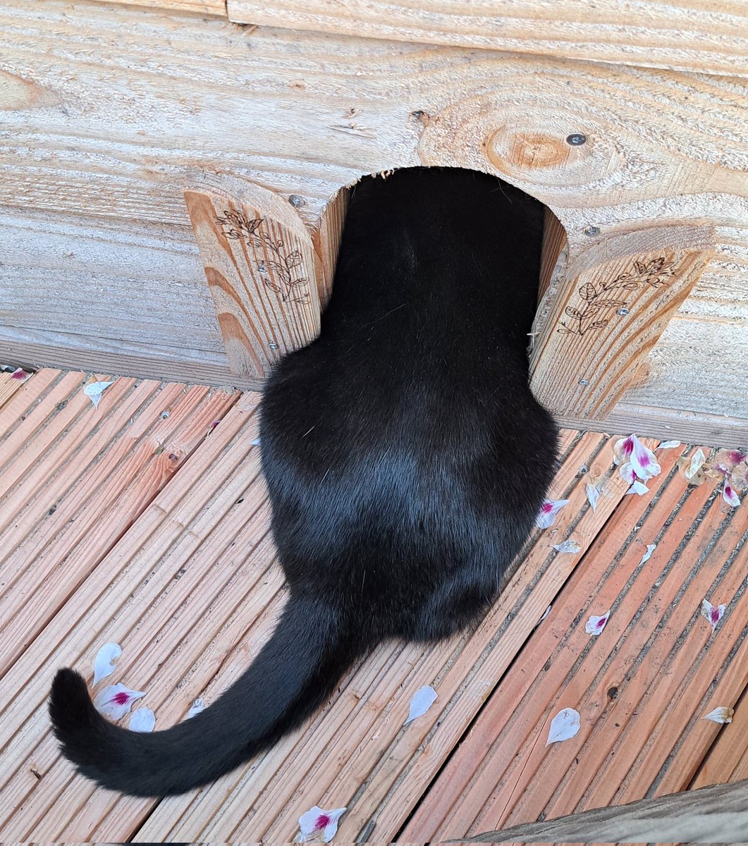 Nog ff door mun deurtje naar de buitenwereld gluren.