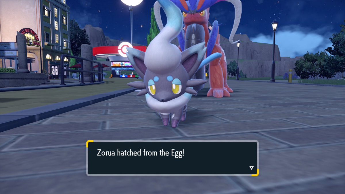 Umm… 20 eggs