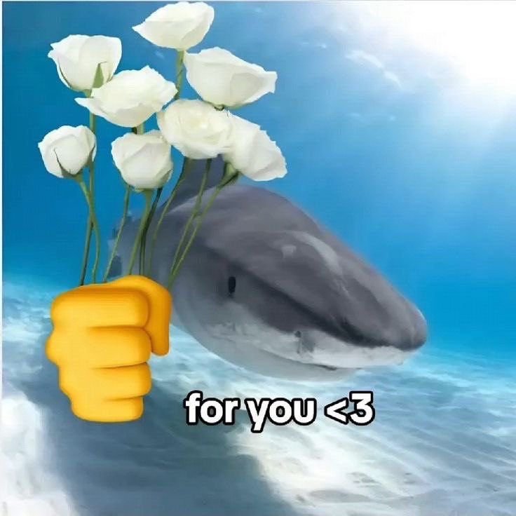 ♡ (@astralbaes) on Twitter photo 