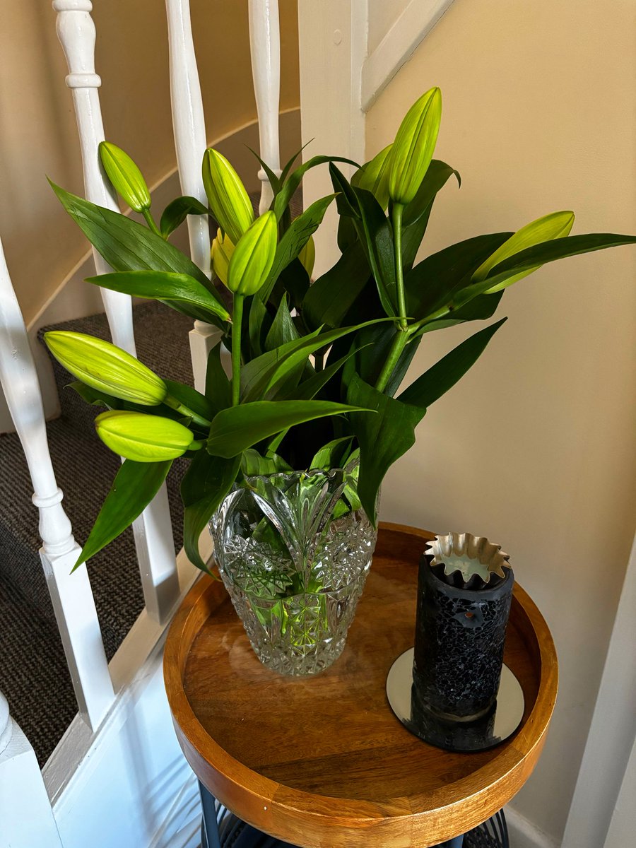 Working on a ward where staff show you their appreciation with flowers, emails &amp; thank you’s is one of the best feelings. Mutual respect is so important, &amp; when the team is so caring and compassionate, that gets passed onto the patients! They make my job so easy! ❤️ #TeamCusworth