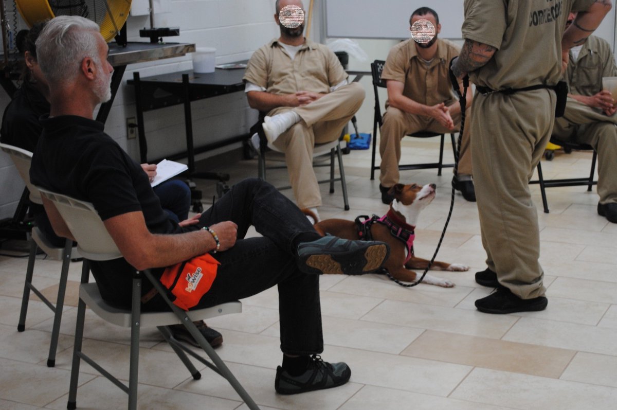 distevhass31's tweet image. Group 46 - Positive Reinforcement Training with K9wise - Week 1 ! @GA_Corrections @GAFirstLady @CLALeadership @jeffbreedlove1 @Recovery_GC4R @endthewhisper @JellyRoll615