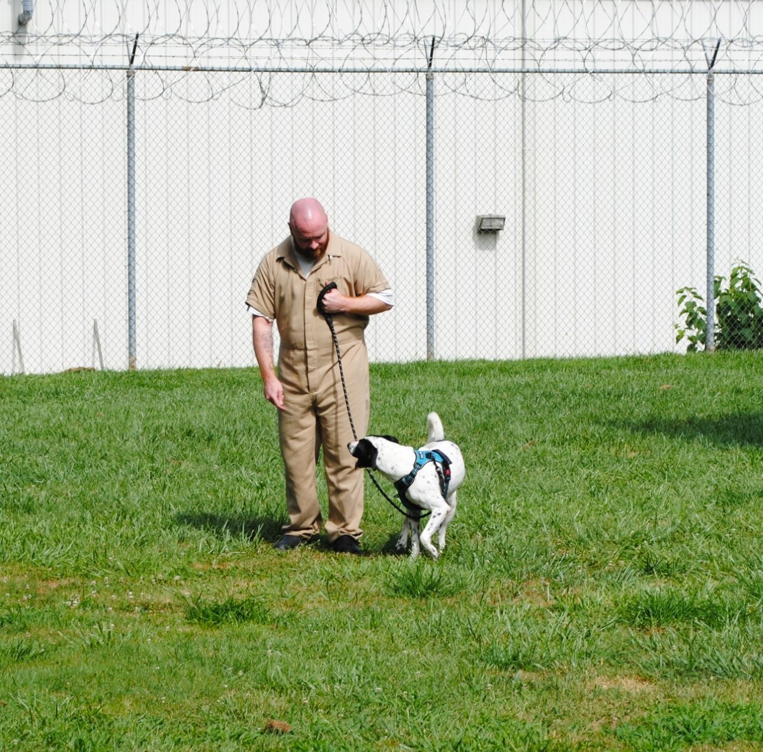 distevhass31's tweet image. Group 46 - Positive Reinforcement Training with K9wise - Week 1 ! @GA_Corrections @GAFirstLady @CLALeadership @jeffbreedlove1 @Recovery_GC4R @endthewhisper @JellyRoll615