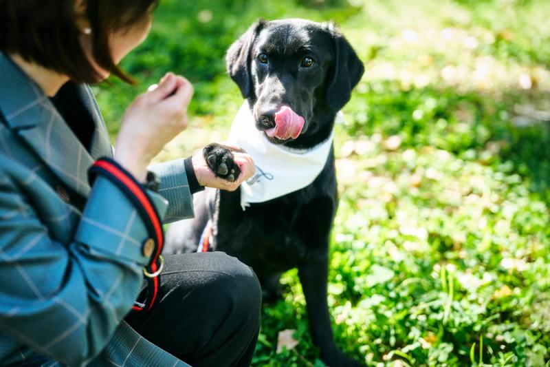 Chief Happiness Officer to greet guests at new Fairmont Tokyo, marking Fairmont's debut in Japan t.lei.sr/TLrgtF