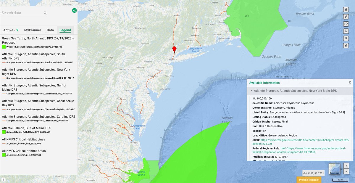 Nine new maps on the Portal show ocean areas, coastal rivers and watersheds that have been designated or proposed as critical habitat for Atlantic #sturgeon, Atlantic #salmon, North Atlantic #rightwhales, and green #seaturtles. 

ℹ️ Details: portal.midatlanticocean.org/news/view-crit…