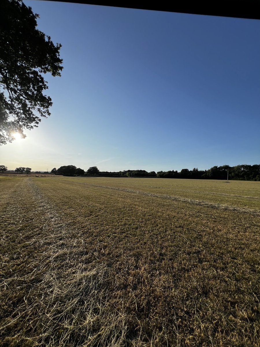 Richard Payne tweet media