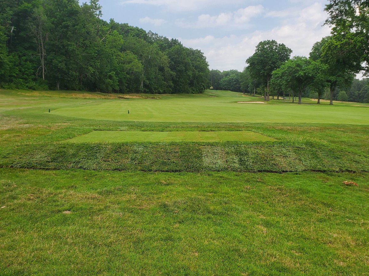 Newest forward tee, on #10, is complete.