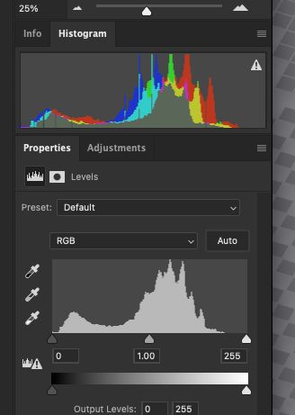 I just want everyone to know that the histogram(s) for the Redrix's painting photo I took last night after re-finishing the painting looked like Virginia