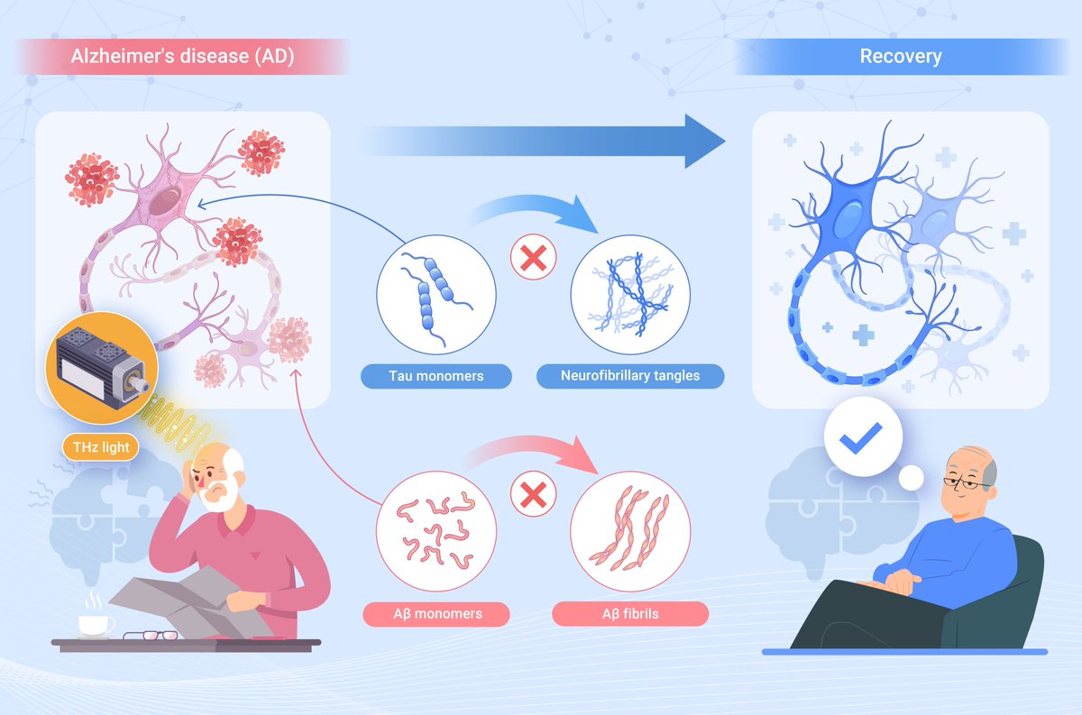 Terahertz technology: A new frontier in Alzheimer’s disease therapy. Read more doi.org/10.59717/j.xin…
#lifesciences #TIC2025
