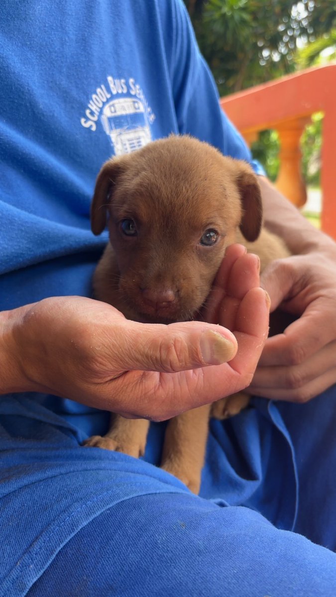 I did something today 😍