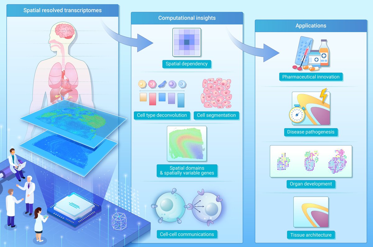 Spatial resolved transcriptomics: Computational insights into gene transcription across tissue and organ architecture in diverse applications. Read more doi.org/10.59717/j.xin…
#Lifesciences #sciences #TIC2025