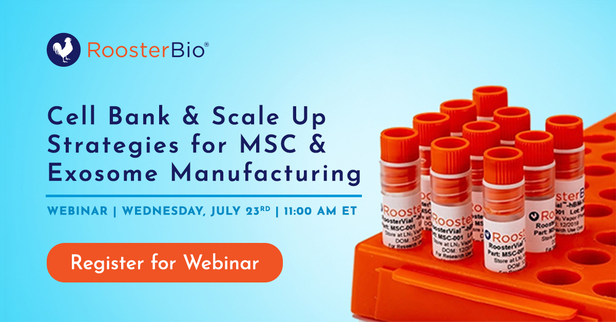 RoosterBio (@roosterbio) on Twitter photo 🗓️By utilizing scalable solutions & established processes, advanced therapy programs can meet the increased cell and exosome needs of clinical progression. Join our webinar on Cell Bank & Scale Up Strategies for MSC & Exosome Manufacturing to learn more.➡️ us02web.zoom.us/webinar/regist… 🗓️By utilizing scalable solutions & established processes, advanced therapy programs can meet the increased cell and exosome needs of clinical progression. Join our webinar on Cell Bank & Scale Up Strategies for MSC & Exosome Manufacturing to learn more.➡️ us02web.zoom.us/webinar/regist…