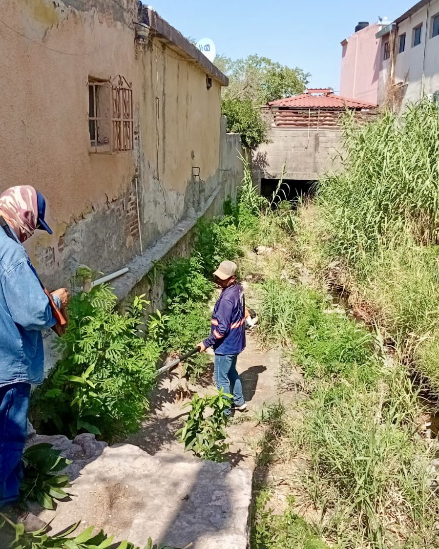 Seguimos con todo en la limpieza de canales. 👷🏻‍♂️👊🏻

Tu también, #PrepárateParaLasLluvias 🌧️ y deposita la basura en su lugar 🚮. Juntas y juntos evitemos que termine en canales y alcantarillas.