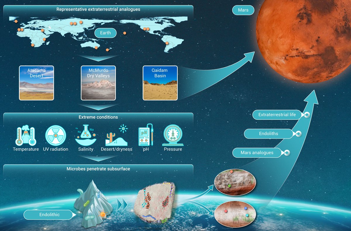 Could microbes inhabiting extreme desert environments be a gateway to life on the Martian surface? Read more doi.org/10.59717/j.xin…
#Lifesciences #research #TIC2025