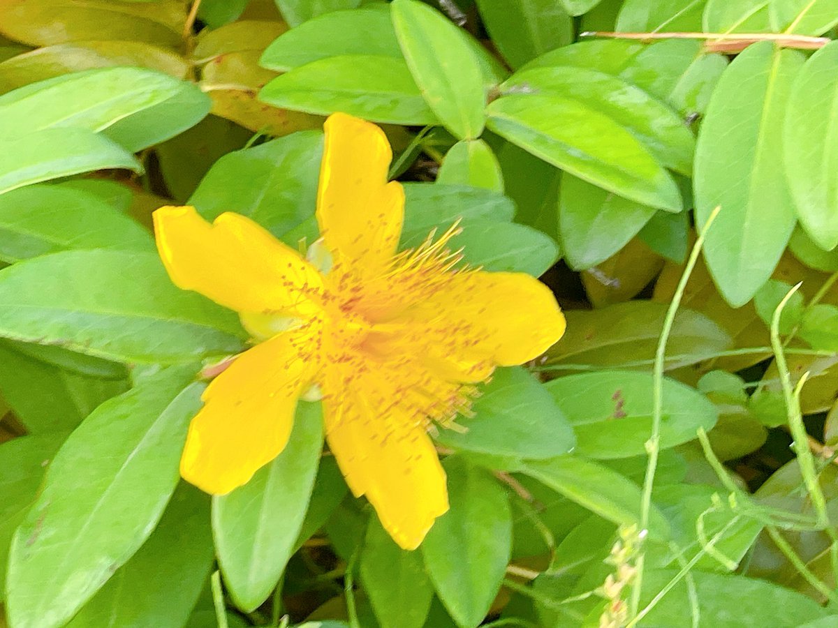 おはようございます🍀

7月11日 金曜日 🌤

薄曇りの朝です☁

今日もHappyな一日になりますように✨

*˙︶˙*)ﾉ"𖧷⁺.˖*