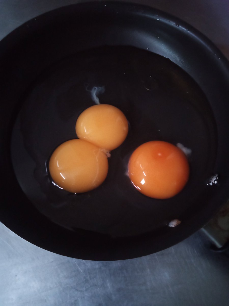 Owls7corp tweet media