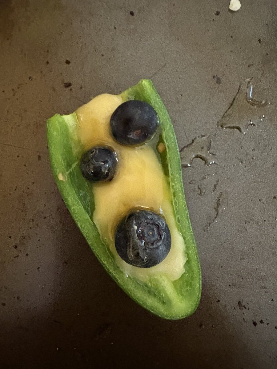 My latest culinary masterpiece. Jalapeño straight out of the garden, Gouda cheese, toast it till the cheese melts, pop a few blueberries in it, and lightly drizzle with honey. 🤤
I shall call it the Jalahogoudaberry.