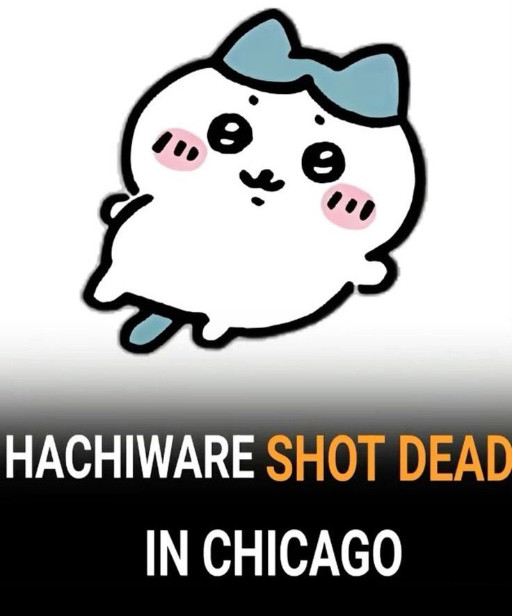 usagi (@usagidarabbit) on Twitter photo 