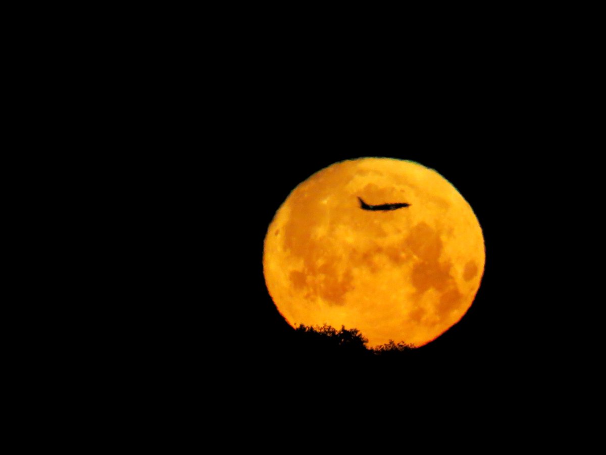 Jack March Photography📸 (@jacksweatherch1) on Twitter photo A plane passing infront of the moon this morning in Stockingford Warwickshire
<a href="/StormHour/">#StormHour</a> <a href="/ThePhotoHour/">#ThePhotoHour</a> #loveukweather <a href="/Shefali_oza/">Shefali Oza</a> A plane passing infront of the moon this morning in Stockingford Warwickshire
<a href="/StormHour/">#StormHour</a> <a href="/ThePhotoHour/">#ThePhotoHour</a> #loveukweather <a href="/Shefali_oza/">Shefali Oza</a>