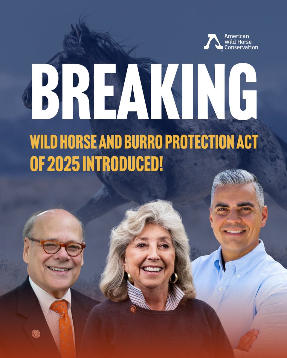 FreeWildHorses's tweet image. Today, Reps Dina Titus, Steve Cohen, and Juan Ciscomani introduced the Wild Horse and Burro Protection Act of 2025—a groundbreaking bill that would reform the cruel and costly federal wild horse program. 🌟 👏 Ask your Representative to cosponsor here!: bit.ly/3GIeToW