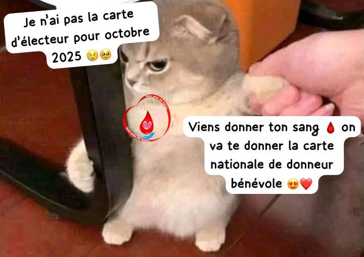 🆘 DON DE SANG 🎊 tweet media
