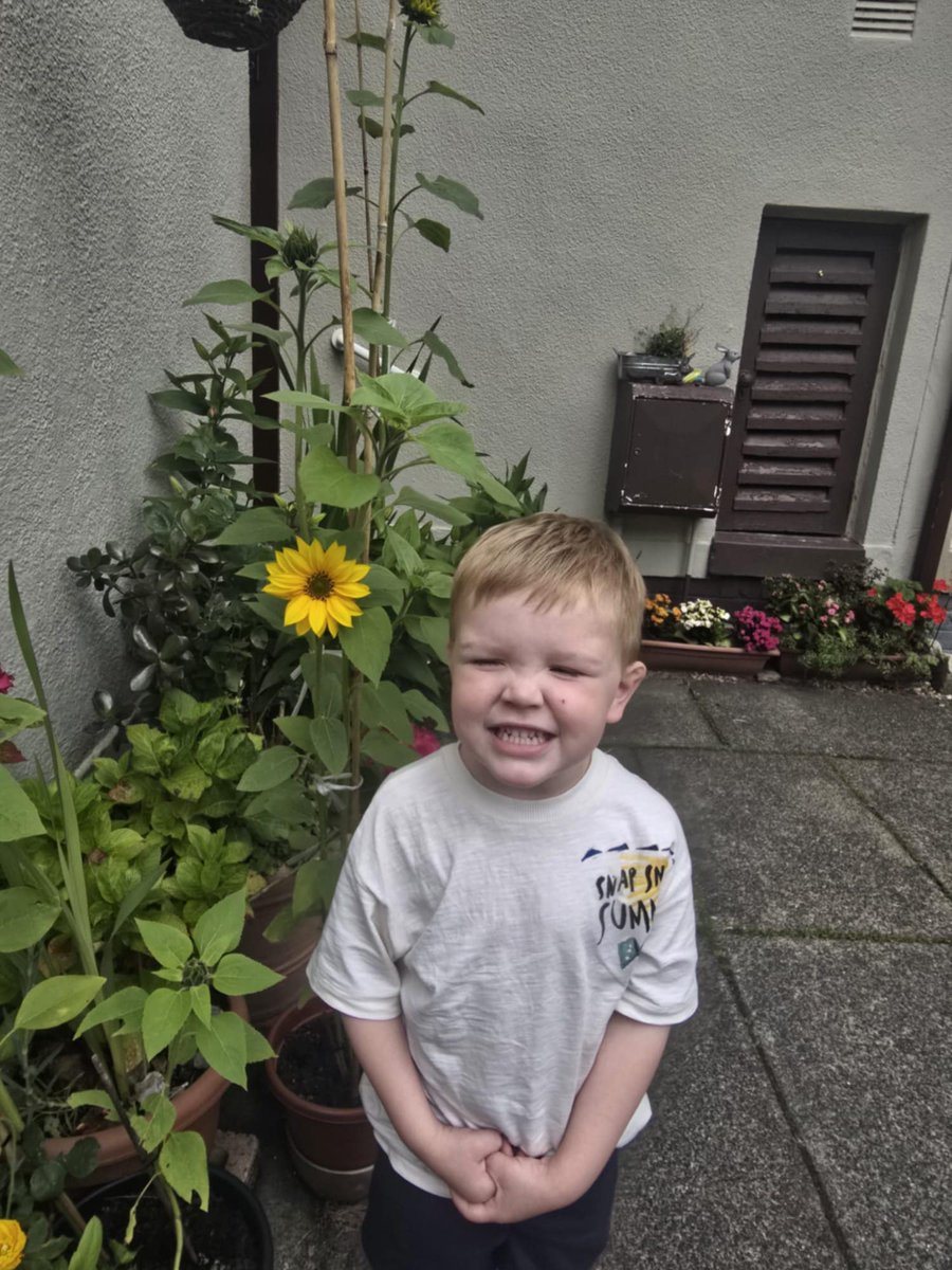From small seeds given to our kid’s at Sunday Club to these wonderful Sunflowers 🌻

Thank you for sharing Ben, Abbie and James 👏🏻❤️

Does anyone else have pictures to share? 🌻

(Matthew 13:1-23) 
biblegateway.com/passage/?searc…