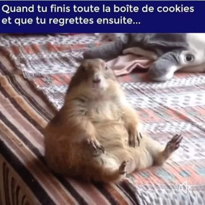 vivige (@vivige1976) on Twitter photo 