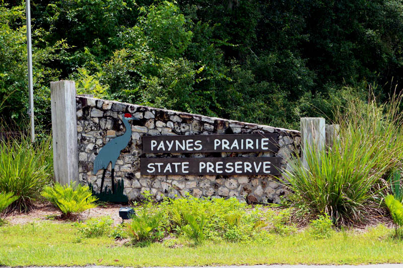 CLARIFICATIONS REGARDING A PROPOSED DEVELOPMENT NEAR PAYNES PRAIRIE STATE PARK

We understand that questions and concerns are circulating about a potential development near Paynes Prairie. Please see the post linked here for clarification: facebook.com/share/p/1BmLhL…