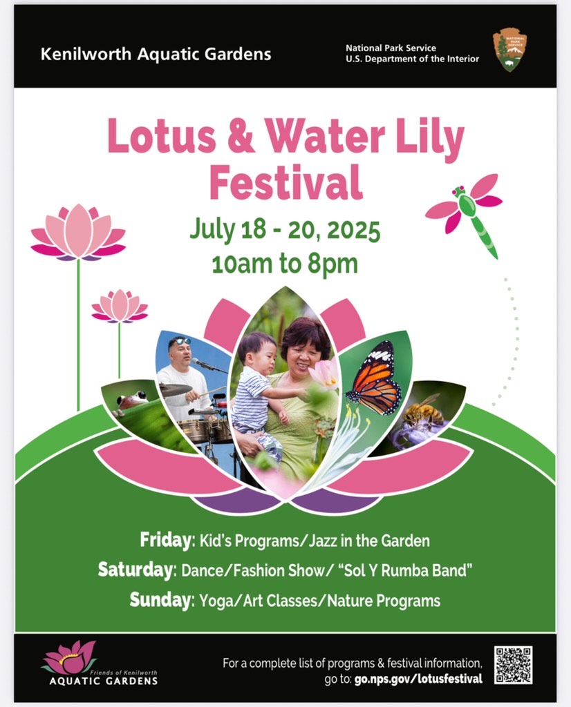 Join us for the 2025 Lotus &amp; Water Lily Festival at the #KenilworthAquaticGardens Friday, July 18- Sunday, July 20! Please use this link to view the full schedule: kenaqgardens.org/events/lotus-w…