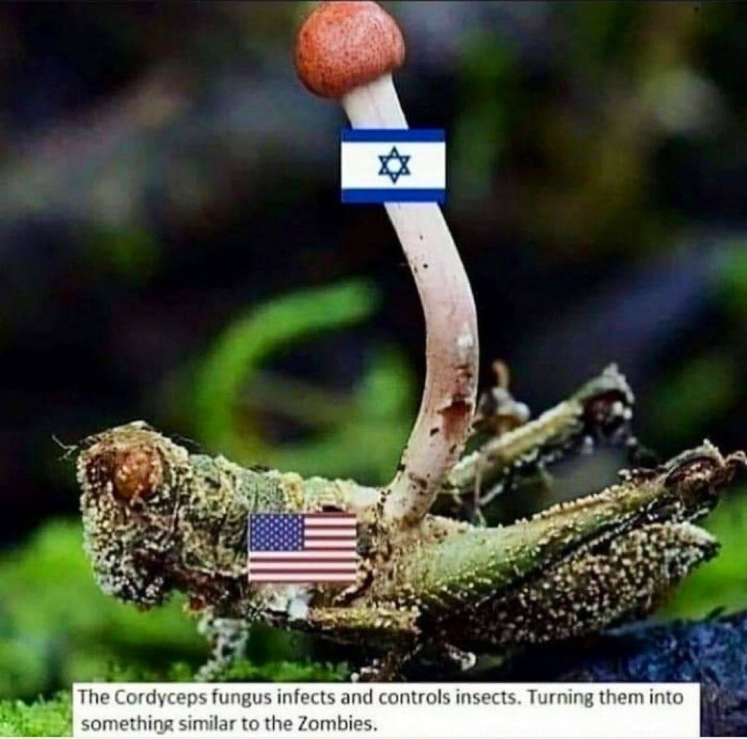 <a href="/SenMcCormickPA/">Senator Dave McCormick</a> <a href="/netanyahu/">Benjamin Netanyahu - בנימין נתניהו</a> You remain happy to serve a foreign government that is openly committing a genocide in Gaza, terrorizing and stealing more of the WB, invading and occupying their neighbors - all with hundreds of billions of OUR tax payer dollars and all bc of corrupt politicians like yourself.