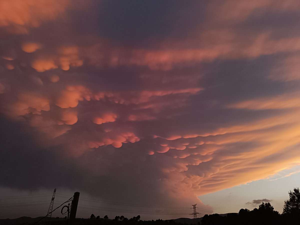 Laura Peris tweet media