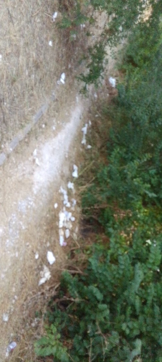 Tras la final del torneo de petanca hubo muchos lloros entre los perdedores, dejando el parque Cerro Almodóvar de Latina lleno de kleenex usados. 

Hubo algunos episodios de colitis nerviosa. 

Se ruega recogida <a href="/Lineamadrid/">Línea Madrid</a>  y podado de ramas bajas
