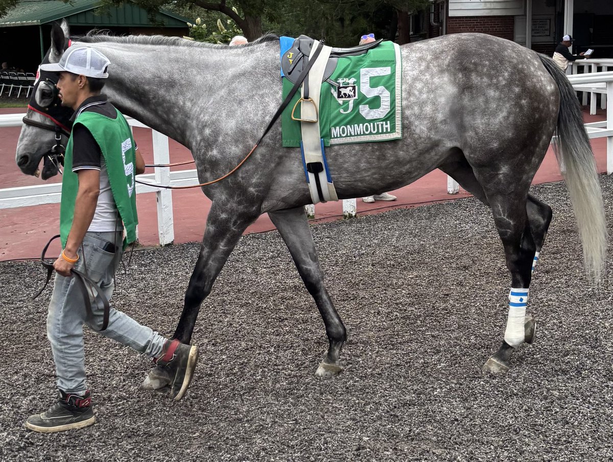 Brad’s Equine Adventure (@brad_equine) on Twitter photo Wishing a happy retirement to Irish Meadow. Irish was owned by BEA for 1 year and was trained by <a href="/dfwardjr/">Dan Ward Racing Stable</a> .
He retires sound at age 10 after a career of 58 starts. Wishing a happy retirement to Irish Meadow. Irish was owned by BEA for 1 year and was trained by <a href="/dfwardjr/">Dan Ward Racing Stable</a> .
He retires sound at age 10 after a career of 58 starts.