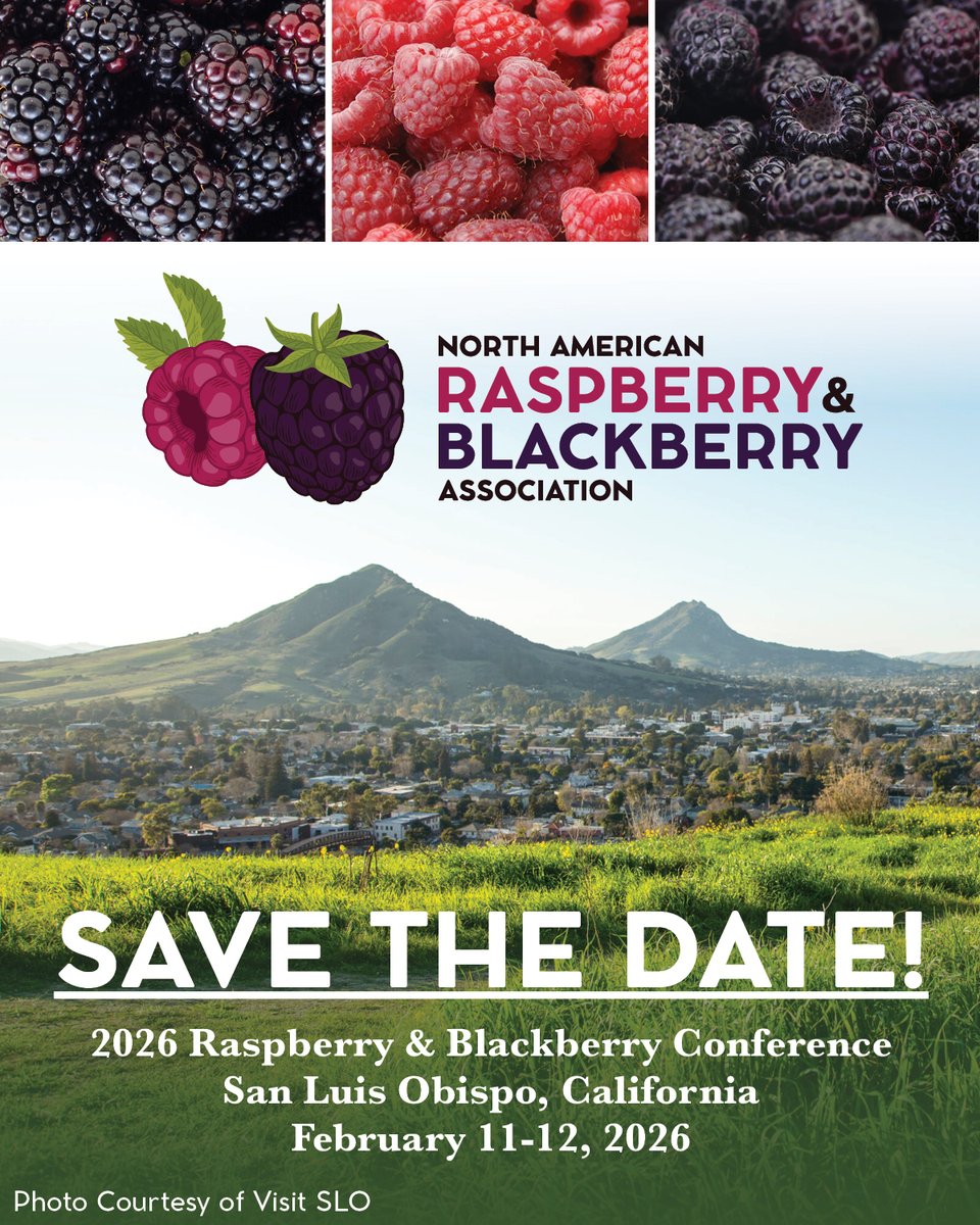 Save the Date for the 2026 NARBA Conference - February 11-12 in San Luis Obispo, California! Join us for premium opportunities to network, educational sessions &amp; a farm tour of the Santa Maria growing region. Stay tuned!

raspberryblackberry.com/conference/202…

#NARBA #berrygrower #berryfarm