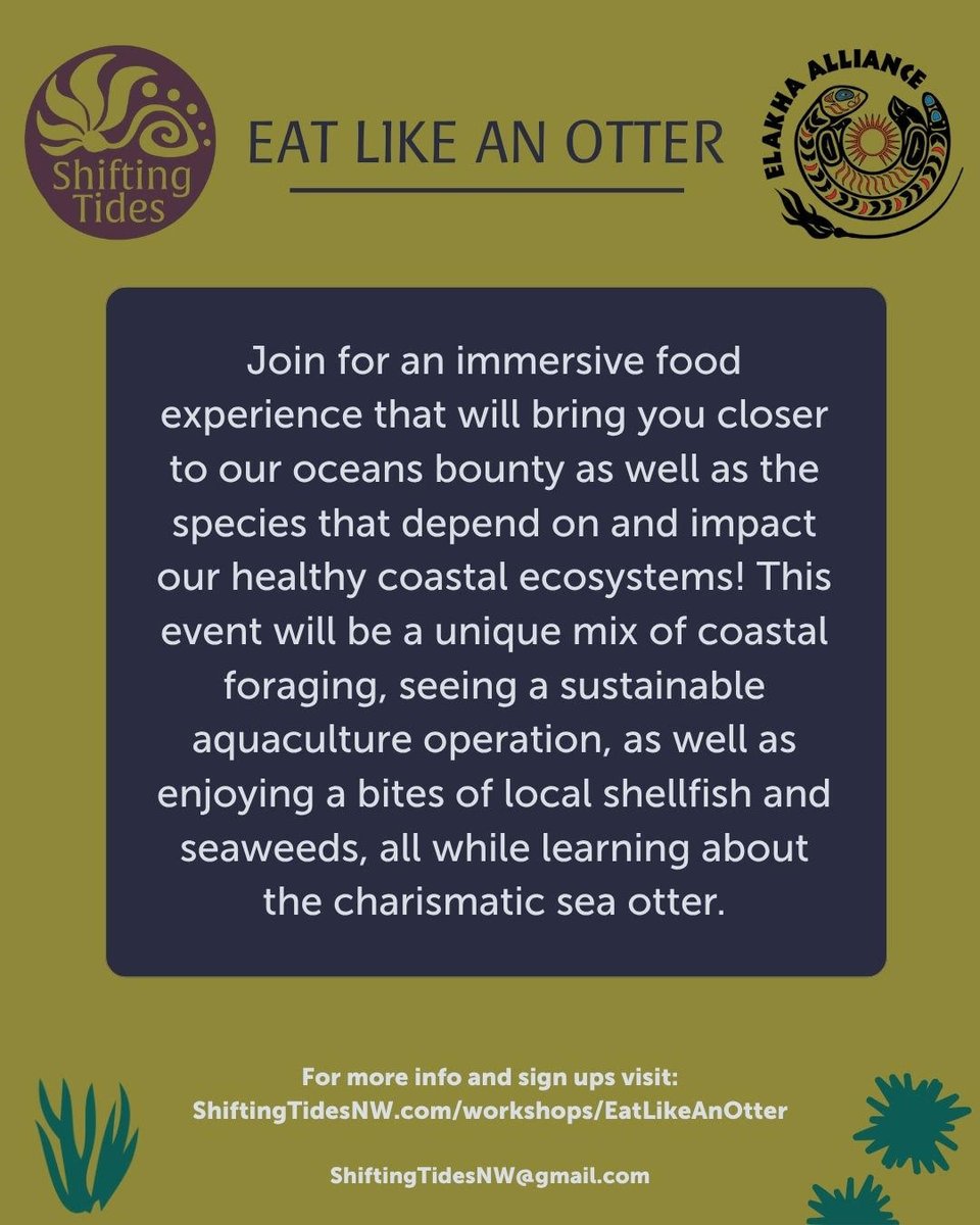 ElakhaA's tweet image. We&apos;re pleased to partner with Shifting Tides NW for a special #seaotter event on the south coast! You&apos;ll forage for tasty ocean snacks and learn how to cook them at the Port of Bandon. #oregoncoast #oregon #seafood

Reserve your spot today! --&amp;gt; shiftingtidesnw.com/workshops/eatl…