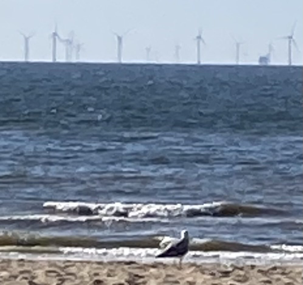 Peter__Wood's tweet image. Wind turbines disappearing over the horizon with the curvature of the earth. Picture taken from Scheveningen beach.