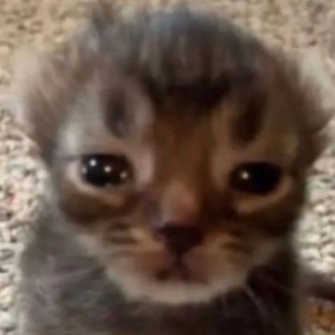 hqsqrr's tweet image. me when i see payments refused